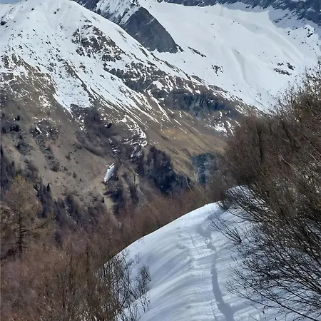Skis Aux Pieds *